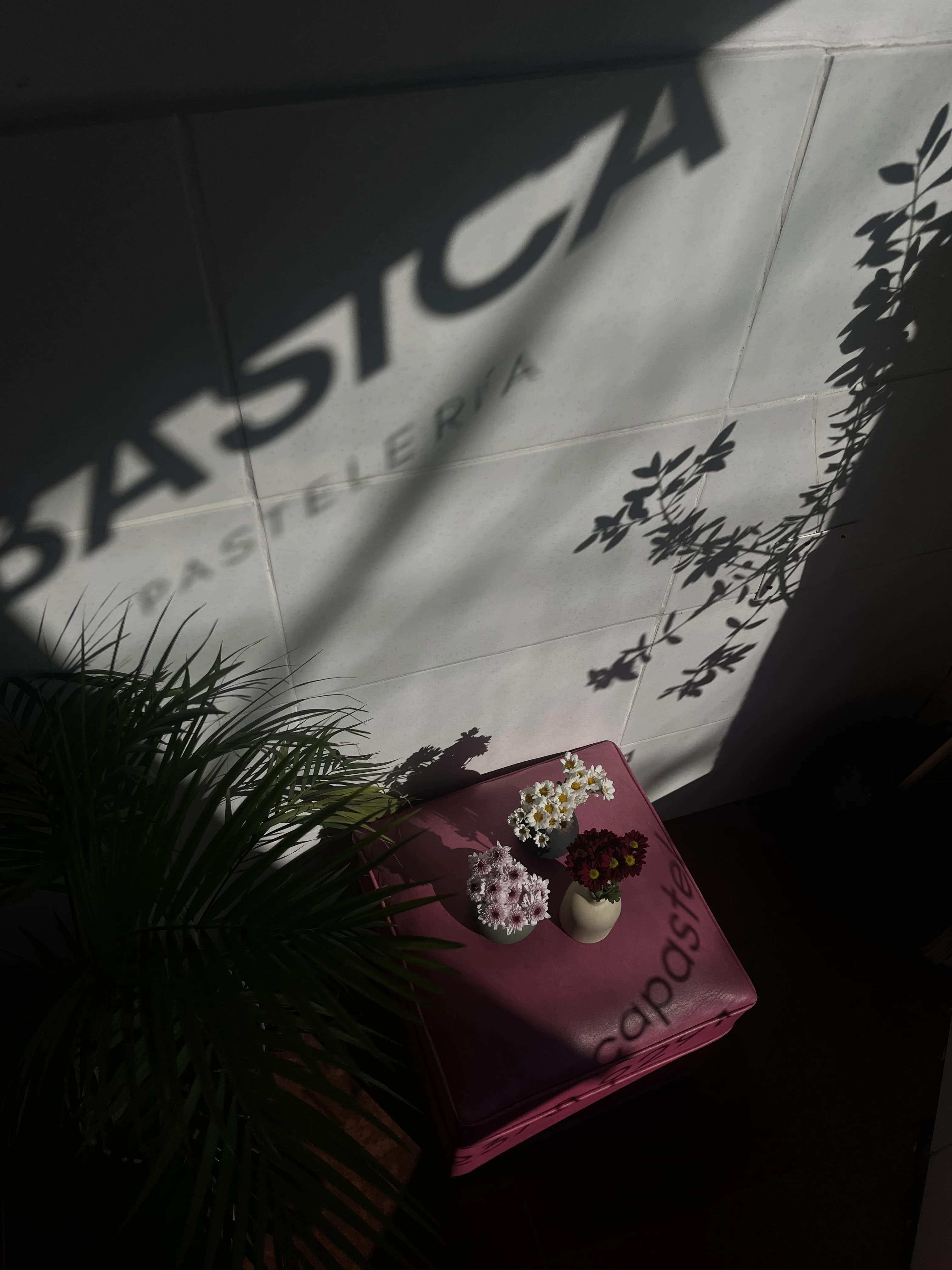 Detalle artístico de productos de LA BÁSICA