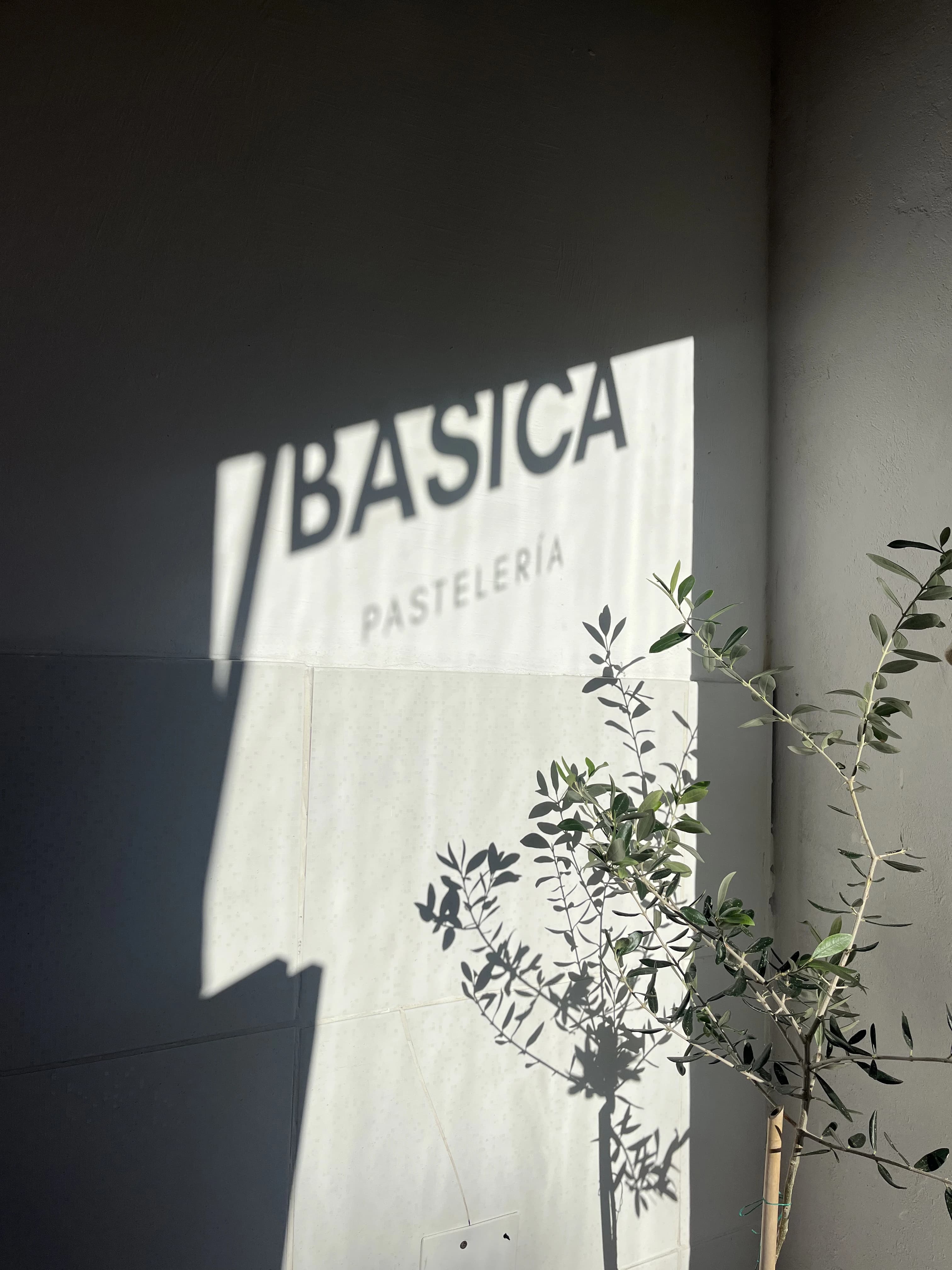 Productos de LA BÁSICA Pastelería Saavedra